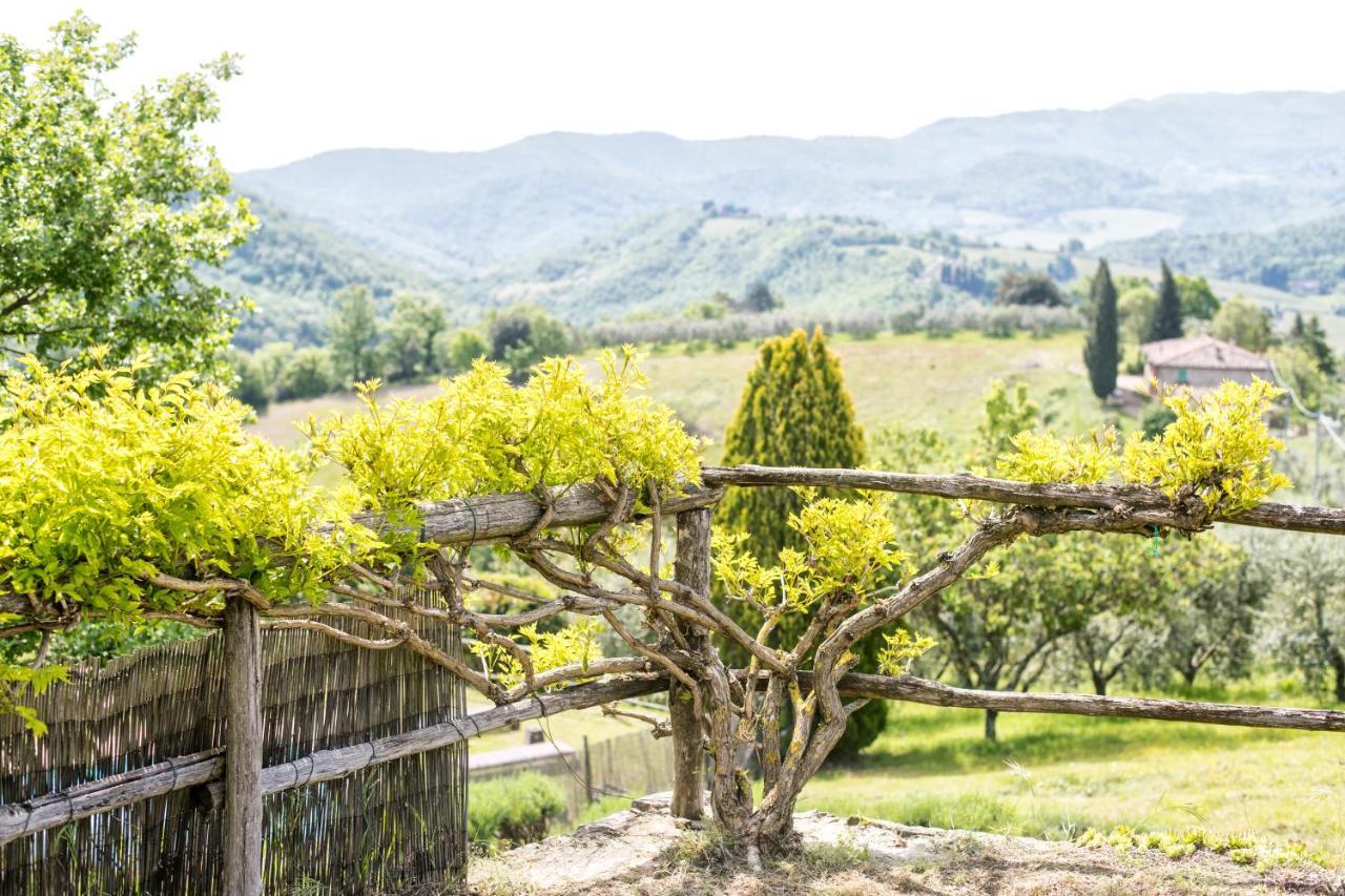 Agriturismo La Sala 基安蒂格雷夫 外观 照片